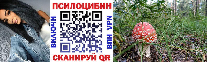 Псилоцибиновые грибы Psilocybine cubensis  Адыгейск 